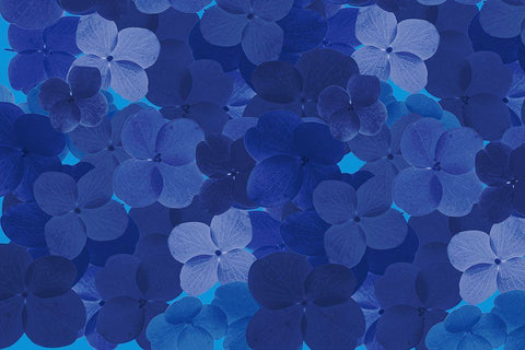 Cool Blue 9 White Modern Wood Framed Art Print with Double Matting by Art Licensing Studio