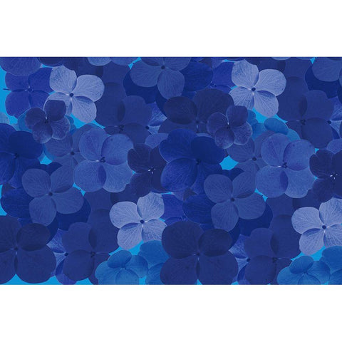 Cool Blue 9 Black Modern Wood Framed Art Print with Double Matting by Art Licensing Studio