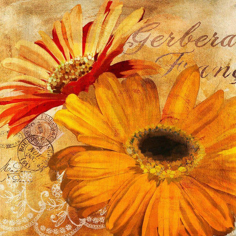 Golden Gerbera II Black Ornate Wood Framed Art Print with Double Matting by Art Licensing Studio