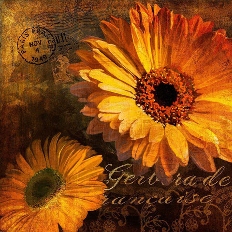 Golden Gerbera IV Black Ornate Wood Framed Art Print with Double Matting by Art Licensing Studio