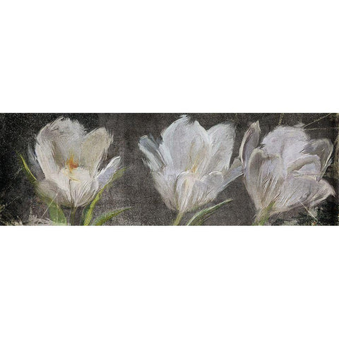 Tulip Triolet Gold Ornate Wood Framed Art Print with Double Matting by Art Licensing Studio