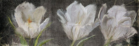 Tulip Triolet White Modern Wood Framed Art Print with Double Matting by Art Licensing Studio