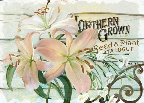 Farm Seed Lilies White Modern Wood Framed Art Print with Double Matting by Art Licensing Studio