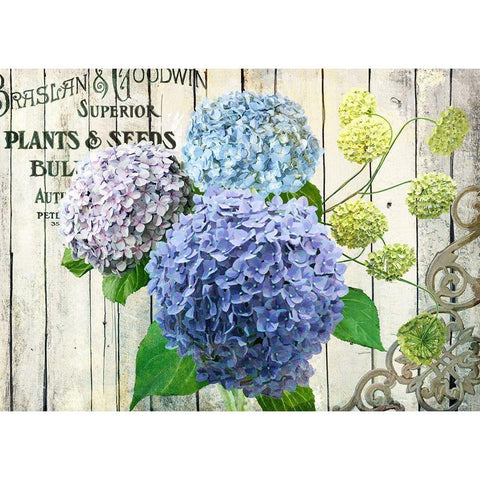 Farm Seed Hydrangeas Black Modern Wood Framed Art Print by Art Licensing Studio
