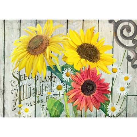 Farm Seed Sunflowers White Modern Wood Framed Art Print by Art Licensing Studio
