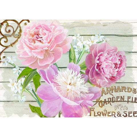 Farm Seed Peonies White Modern Wood Framed Art Print by Art Licensing Studio