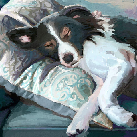 Couch Collie White Modern Wood Framed Art Print by Art Licensing Studio