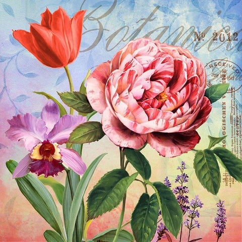 Botanique with Rose Black Ornate Wood Framed Art Print with Double Matting by Art Licensing Studio