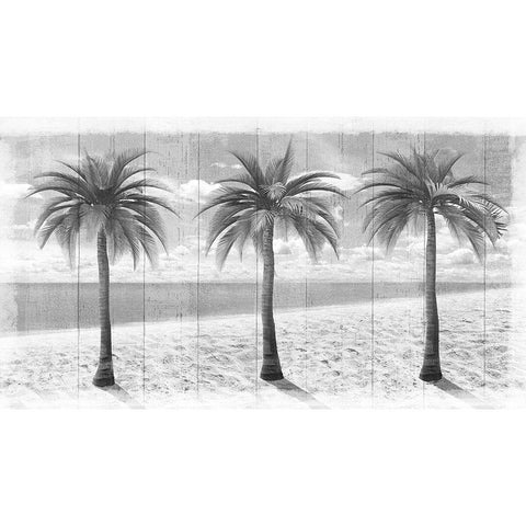 3 Island Palms  Black Modern Wood Framed Art Print with Double Matting by Art Licensing Studio