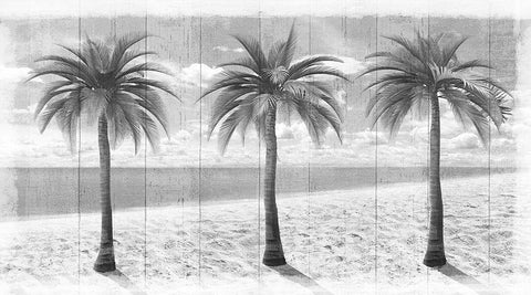 3 Island Palms  White Modern Wood Framed Art Print with Double Matting by Art Licensing Studio