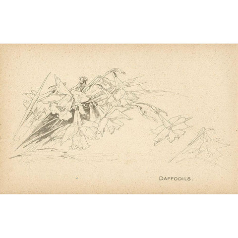 Daffodils White Modern Wood Framed Art Print by Art Licensing Studio