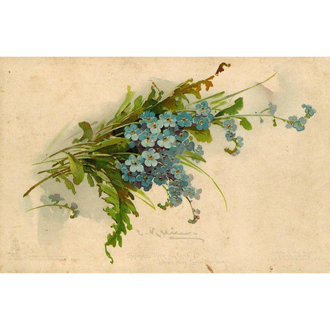 Forget-Me-Not White Modern Wood Framed Art Print by Art Licensing Studio