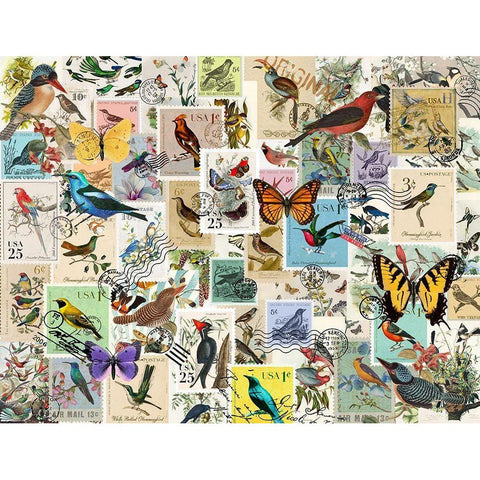 Stamp Collector - Birds and Butterflies White Modern Wood Framed Art Print by Art Licensing Studio