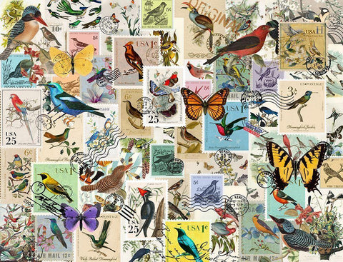 Stamp Collector - Birds and Butterflies White Modern Wood Framed Art Print with Double Matting by Art Licensing Studio