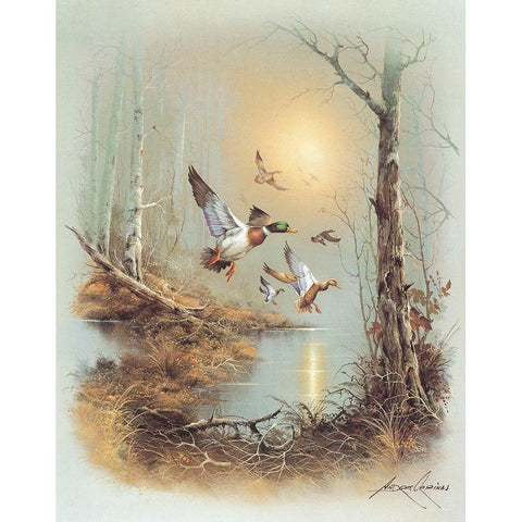 Ducks A Gold Ornate Wood Framed Art Print with Double Matting by Orpinas, Andres