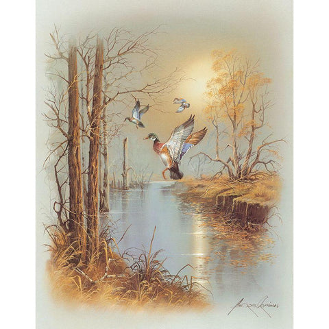 Ducks B White Modern Wood Framed Art Print by Orpinas, Andres