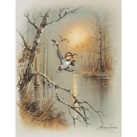 Ducks C Gold Ornate Wood Framed Art Print with Double Matting by Orpinas, Andres