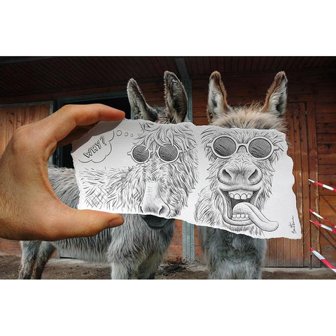 Pencil Vs Camera 12 - Funny Donkey Gold Ornate Wood Framed Art Print with Double Matting by Heine, Ben