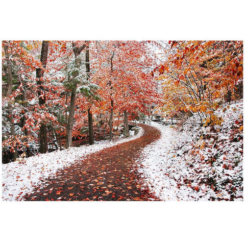 2 Seasons Black Modern Wood Framed Art Print with Double Matting by Heine, Ben