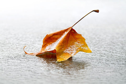 Crisp White Modern Wood Framed Art Print with Double Matting by Heine, Ben