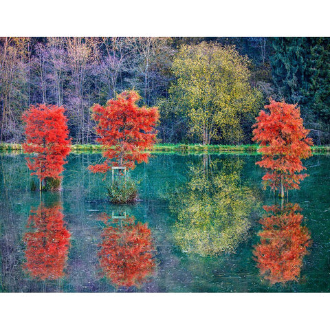 Autumn Black Modern Wood Framed Art Print with Double Matting by Heine, Ben