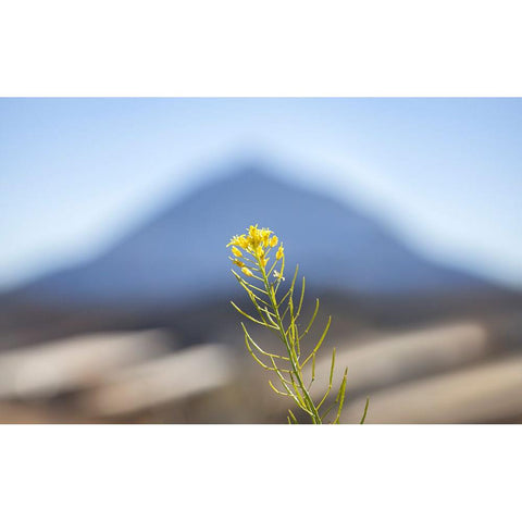 El Teide Black Modern Wood Framed Art Print by Heine, Ben