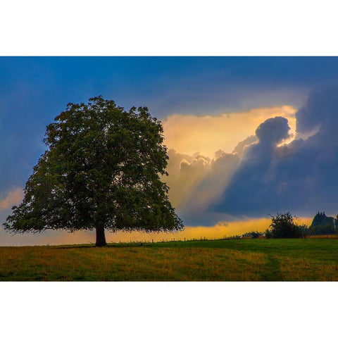 Gods Rays White Modern Wood Framed Art Print by Heine, Ben