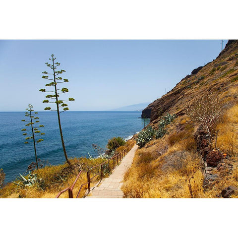 Lanzarote - Tenerife Black Modern Wood Framed Art Print by Heine, Ben
