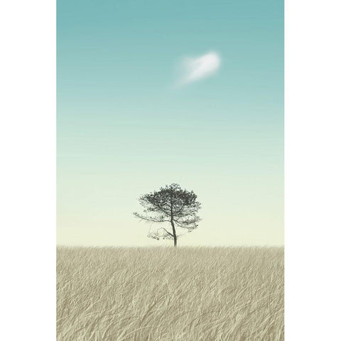 Lonely Black Modern Wood Framed Art Print with Double Matting by Heine, Ben