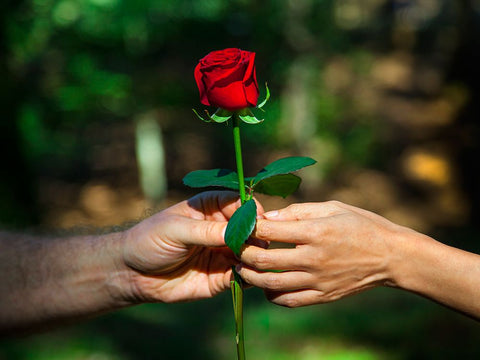 Red Union White Modern Wood Framed Art Print with Double Matting by Heine, Ben