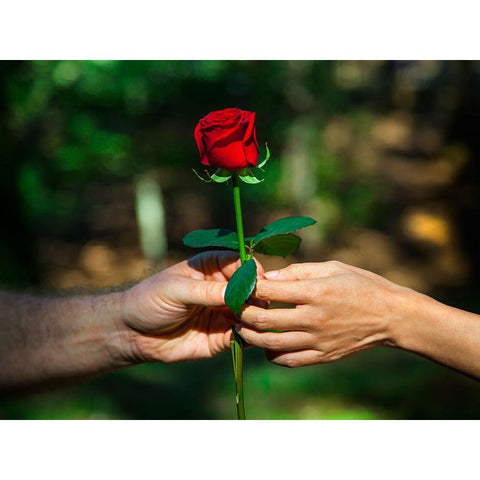 Red Union Black Modern Wood Framed Art Print with Double Matting by Heine, Ben