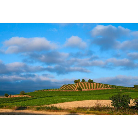 Santiago de Compostela pilgrimage - 6 White Modern Wood Framed Art Print by Heine, Ben