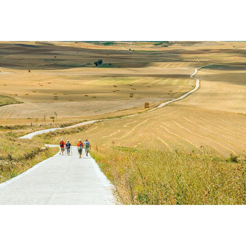 Santiago de Compostela pilgrimage - 156 Gold Ornate Wood Framed Art Print with Double Matting by Heine, Ben