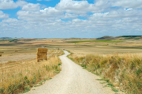 Santiago de Compostela pilgrimage - 165 White Modern Wood Framed Art Print with Double Matting by Heine, Ben