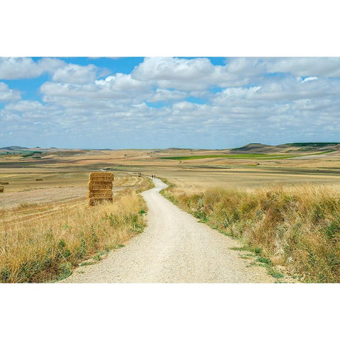 Santiago de Compostela pilgrimage - 165 Black Modern Wood Framed Art Print by Heine, Ben