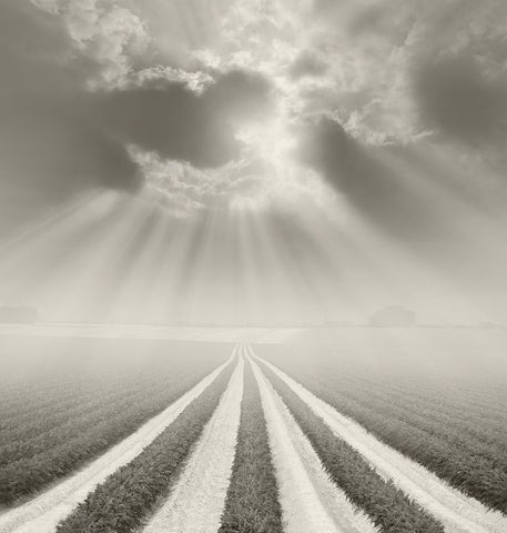 There is a God Somewhere White Modern Wood Framed Art Print with Double Matting by Heine, Ben