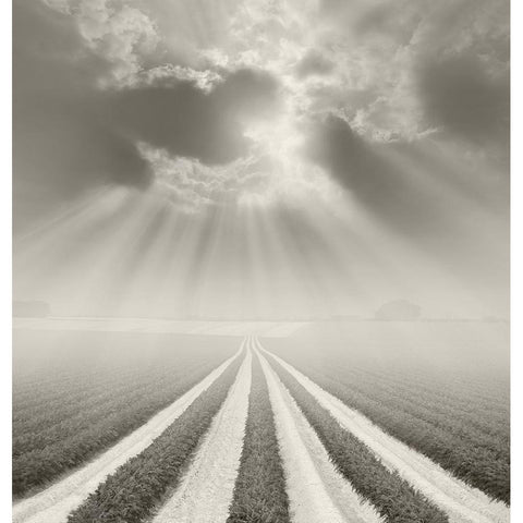 There is a God Somewhere White Modern Wood Framed Art Print by Heine, Ben