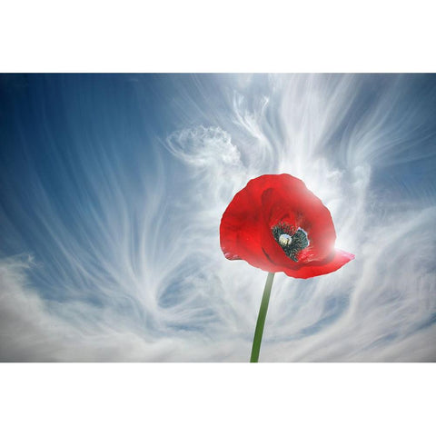 8 You Drive Me Crazy Gold Ornate Wood Framed Art Print with Double Matting by Heine, Ben