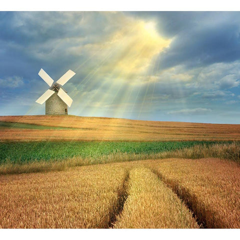Countryside Black Modern Wood Framed Art Print with Double Matting by Heine, Ben