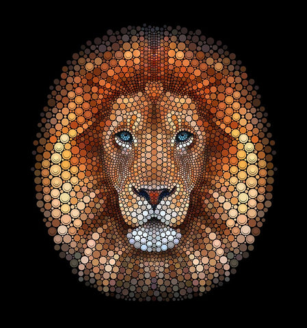 Lion face made of circles White Modern Wood Framed Art Print with Double Matting by Heine, Ben