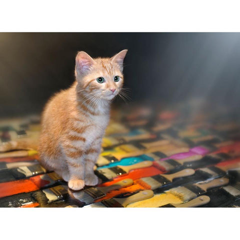 Missing You White Modern Wood Framed Art Print by Heine, Ben