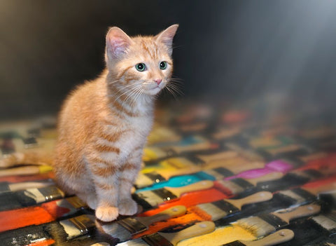 Missing You White Modern Wood Framed Art Print with Double Matting by Heine, Ben