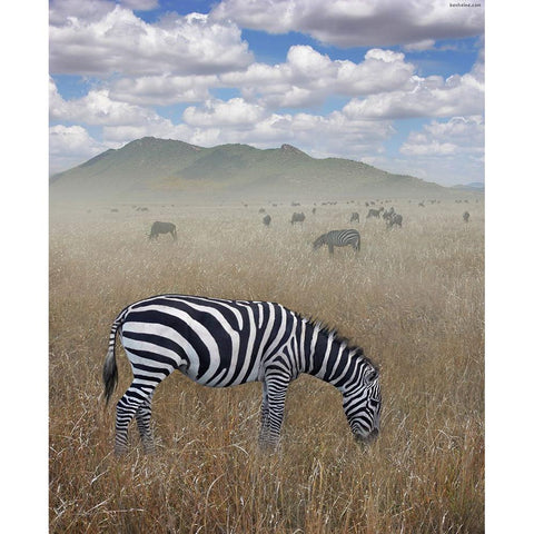 Once Upon a Time in Kenya - 1 White Modern Wood Framed Art Print by Heine, Ben