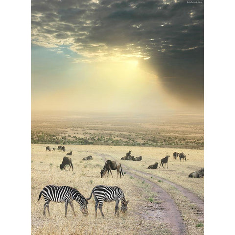 Once Upon a Time in Kenya - 6 Gold Ornate Wood Framed Art Print with Double Matting by Heine, Ben