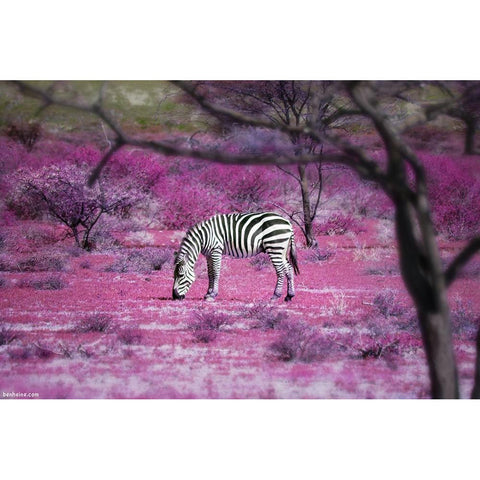 Once Upon a Time in Kenya - 7 Gold Ornate Wood Framed Art Print with Double Matting by Heine, Ben