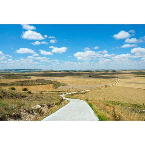 Santiago de Compostela pilgrimage - 160 Black Modern Wood Framed Art Print with Double Matting by Heine, Ben