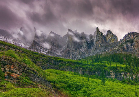 A Majestic Presence Black Ornate Wood Framed Art Print with Double Matting by Sherrell, Bill