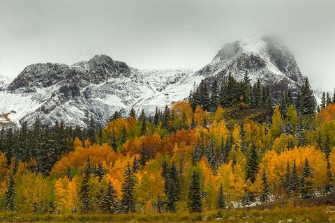 A Rocky Mountain Autumn Black Ornate Wood Framed Art Print with Double Matting by Sherrell, Bill