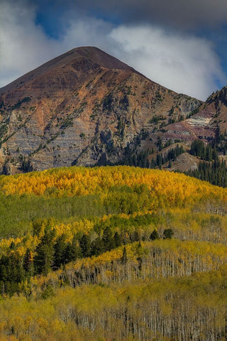 Autumn Mountain Near Crested Butte Black Modern Wood Framed Art Print by Sherrell, Bill