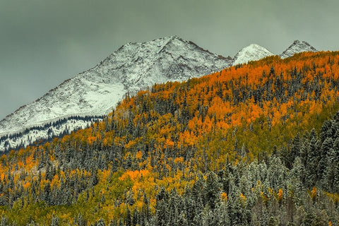 Autumn Mountain Black Ornate Wood Framed Art Print with Double Matting by Sherrell, Bill